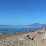 Sunlit Near Sea *